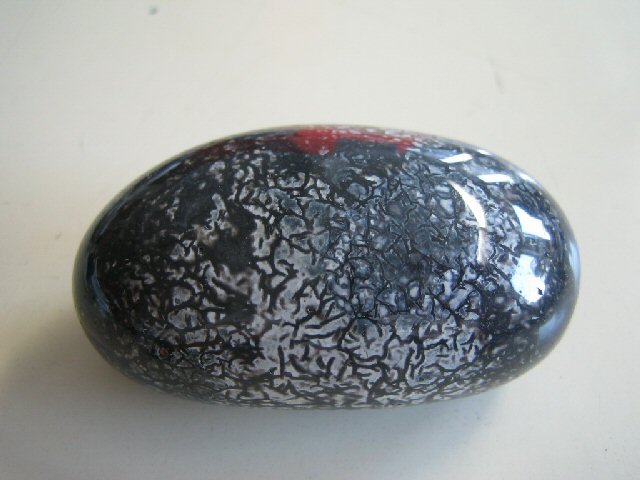 Fossiliensammler U.Lieven